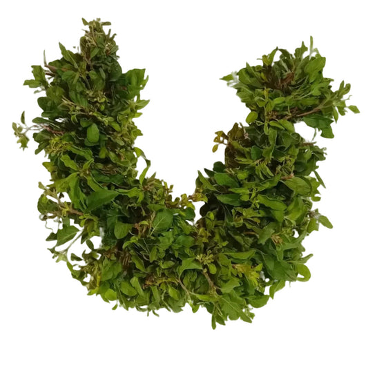 Tulsi Thick Saram/Strings