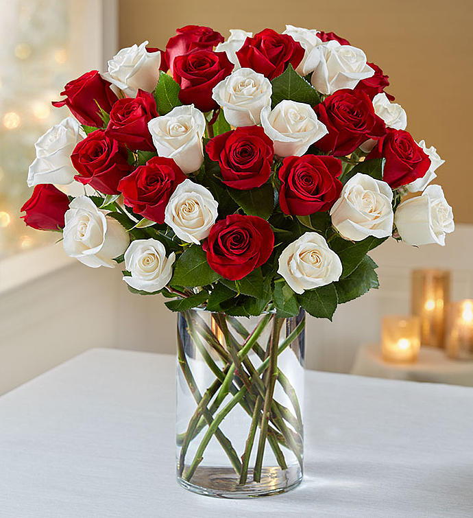 Classic Dozen OR More Rose Vase - Pookadai Florist Toronto