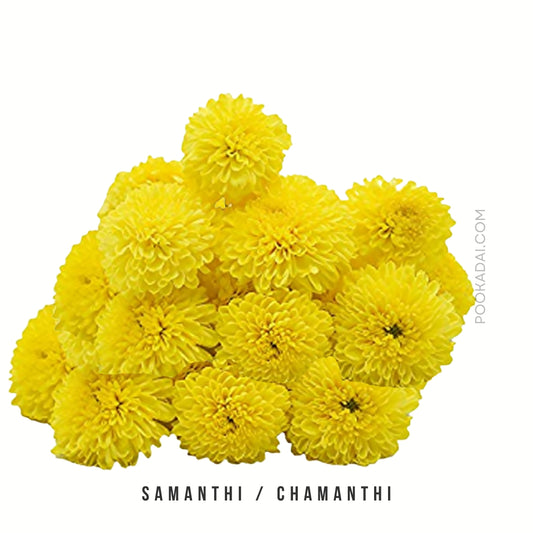 Samanthi / Chamanthi - Pookadai Florist Toronto