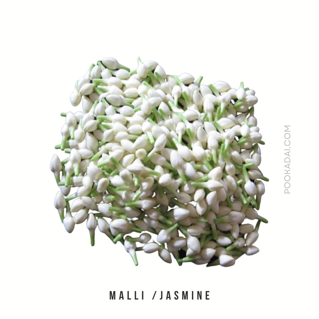 Jasmine ( Malli ) / Mogra - Pookadai Florist Toronto