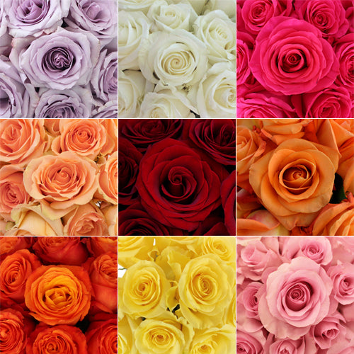 Fresh-Cut Roses - Pookadai Florist Toronto