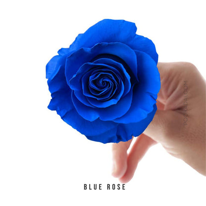 Fresh-Cut Roses - Pookadai Florist Toronto