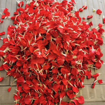 Fresh Carnation Petals - Pookadai Florist Toronto