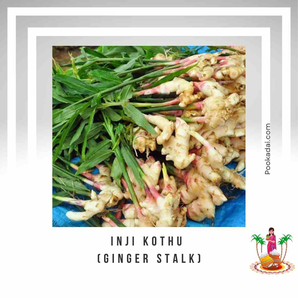 Inji Kothu ( Ginger Stalk ) for Pongal - Pookadai Florist Toronto