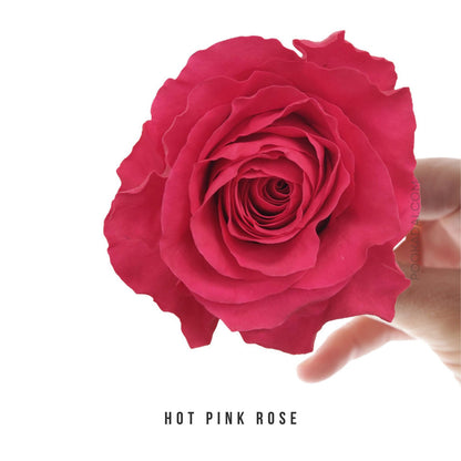 Fresh-Cut Roses - Pookadai Florist Toronto