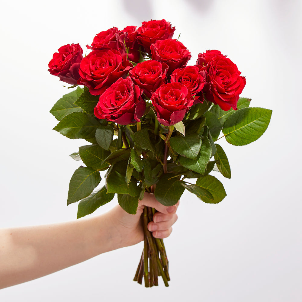 Romantic Dozen Red Roses - Pookadai Florist Toronto