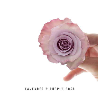 Fresh-Cut Roses - Pookadai Florist Toronto