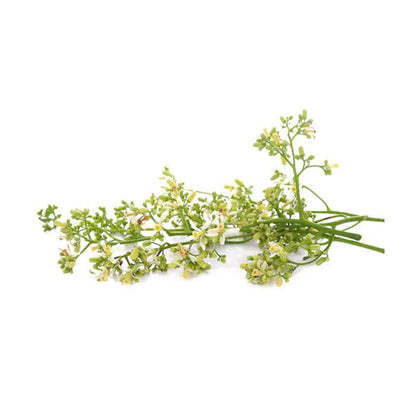 Neem Flower - Ugadi - Pookadai Florist Toronto