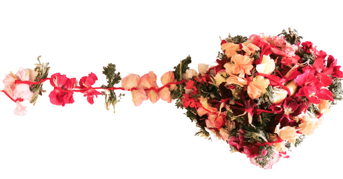 Carnations Kathampam String - Pookadai Florist Toronto
