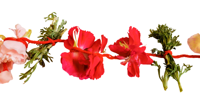 Carnations Kathampam String