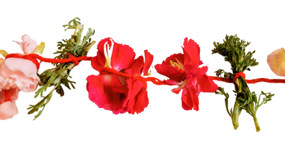 Carnations Kathampam String - Pookadai Florist Toronto