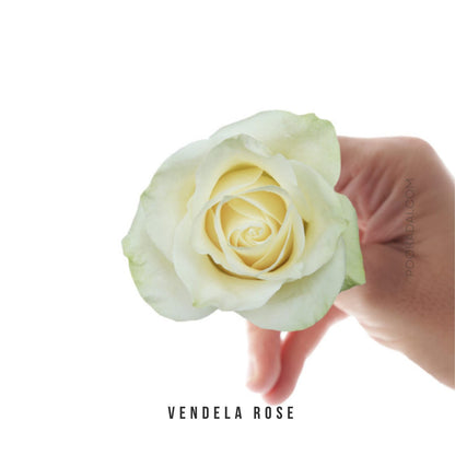 Fresh-Cut Roses - Pookadai Florist Toronto