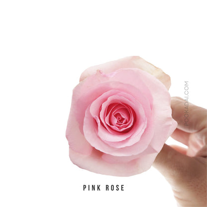 Fresh-Cut Roses - Pookadai Florist Toronto