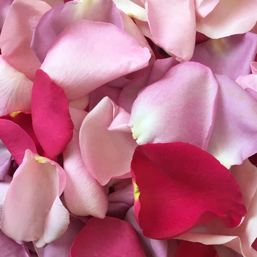 Flower Petals - Fresh Rose Petals - Pookadai Florist Toronto