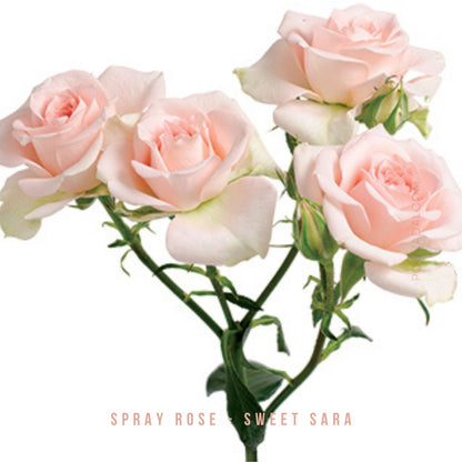 Fresh- cut Spray Roses - Pookadai Florist Toronto