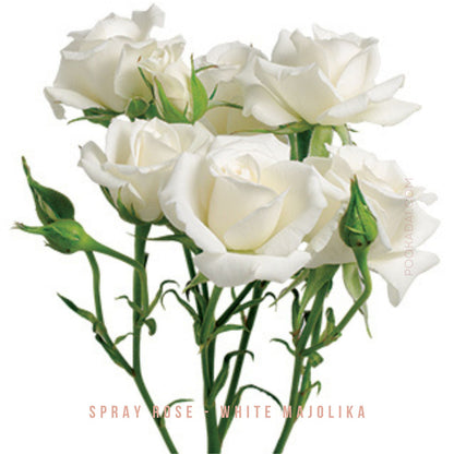 Fresh- cut Spray Roses - Pookadai Florist Toronto