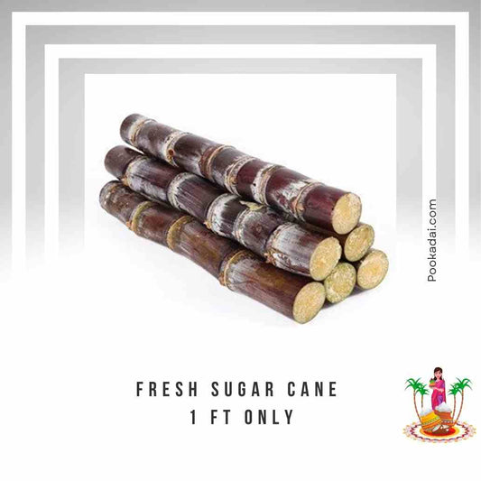 Sugar Cane - 1 Ft ( For Pongal) - Pookadai Florist Toronto