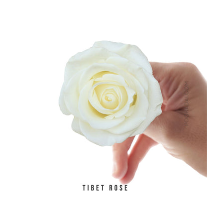 Fresh-Cut Roses - Pookadai Florist Toronto