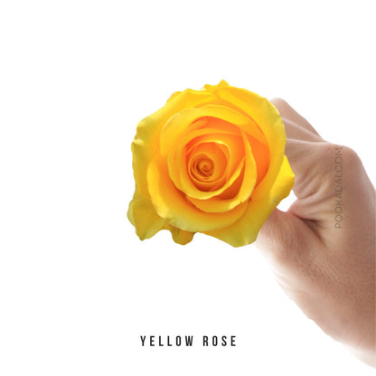 Fresh-Cut Roses - Pookadai Florist Toronto